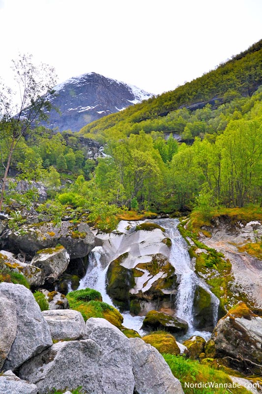 Olden, Stryn, Norwegen, Skandinavien, Blog, Kreuzfahrt, NeoRomantica, Costa, Berge, Schnee, Natur, Wandern, Eis, Gletscher, Wald, Reisetipps