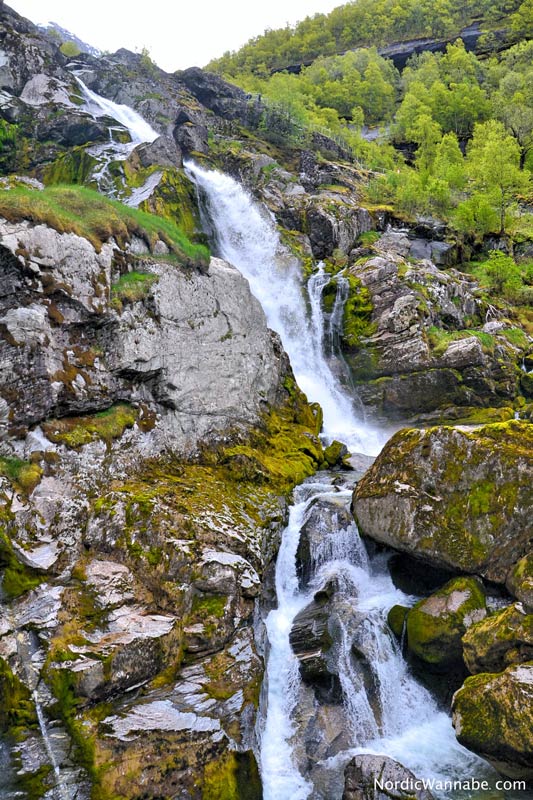 Olden, Stryn, Norwegen, Skandinavien, Blog, Kreuzfahrt, NeoRomantica, Costa, Berge, Schnee, Natur, Wandern, Eis, Gletscher, Wald, Reisetipps