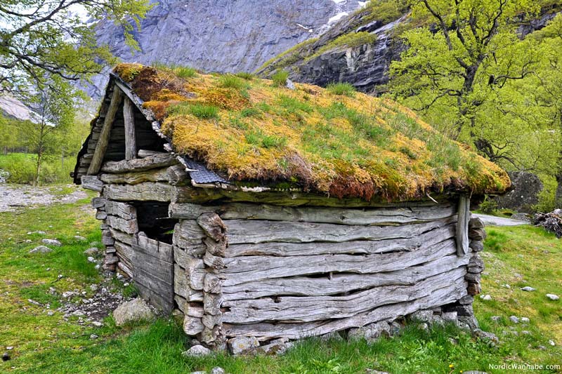 Olden, Stryn, Norwegen, Skandinavien, Blog, Kreuzfahrt, NeoRomantica, Costa, Berge, Schnee, Natur, Wandern, Eis, Gletscher, Wald, Reisetipps