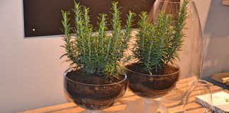 Urban gardening, Holmegaard, Urania, Aric Snee, Dänemark, dänisches Design, Skandinavien, Blog