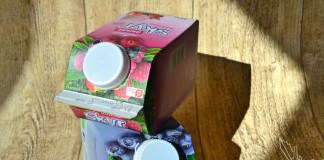 Skyr aus Dänemark, Trinken, Island, Joghurt, Blog, Skandinavien, famila, Moosbeere, Blaubeere