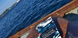 Tödliche Brandung, Frode Granhus, Bestseller, Norwegen, Skandinavien, Krimi, Thriller, Lofoten, Blog, btb, Buchbesprechung