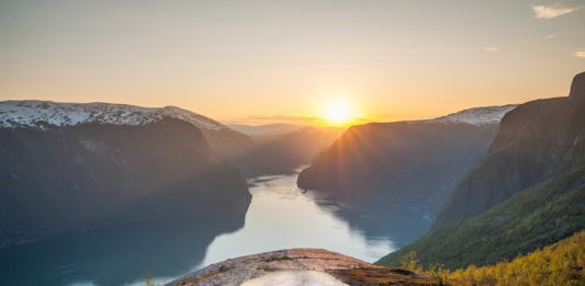 Norwegen, Schaf, Urlaub, Blog, Skandinavien , Natur, Botschafter