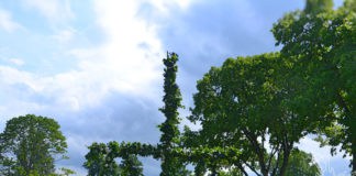 Mittsommer, Midsummer, Midsommar, Schweden; Sweden, Vänersborg, Hotell Hehrne, Blog, Skandinavien, Fest, typisch schwedisch