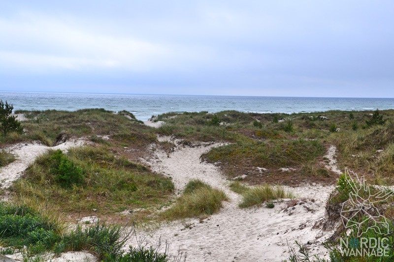 Dänemark-Event, Sandhammeren, Schönster Strand, Sachwaden, Blog, Skandinavien