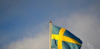Schweden, typisch schwedisch, Landschaft, Blog, Skandinavien, See, Wald, Natur, Beeren, Rote Häuser, Schwedenhaus, Elch