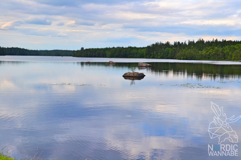 Wald, Natur, Schweden, Skandinavien, Blog, See