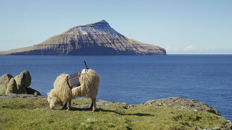 Färöer Inseln, Dänemark, Skandinavien, Blog, Schafe, Sheepview360, 360 Grad Videos, VR, Virtual Reality,