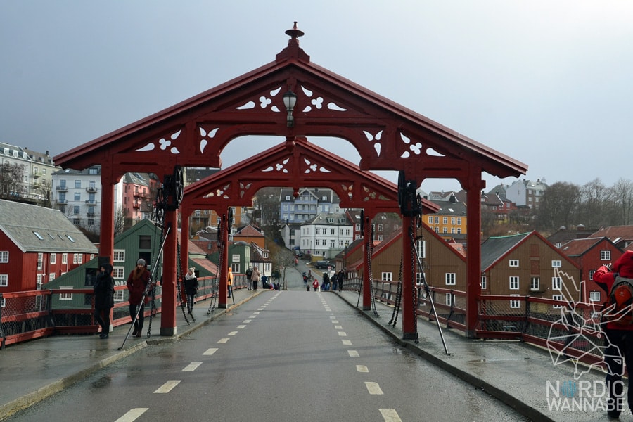 Trondheim, Dom, Blog, Skandinavien, Norwegen, Rote Brücke, Bunte Häuser, AIDA, Kreuzfahrt