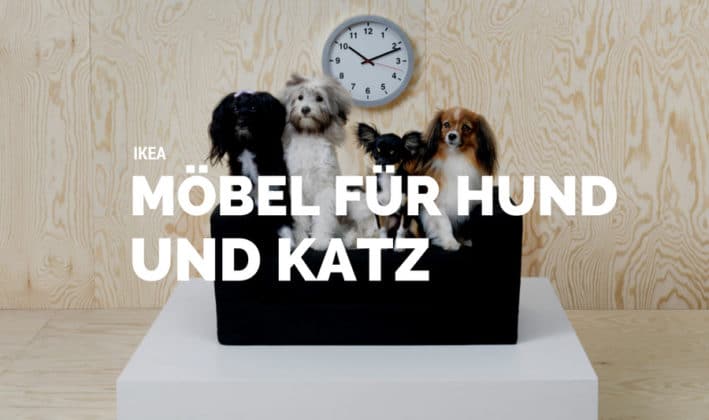 IKEA LURVIG Möbel für Hunde und Katzen SkandinavienBlog