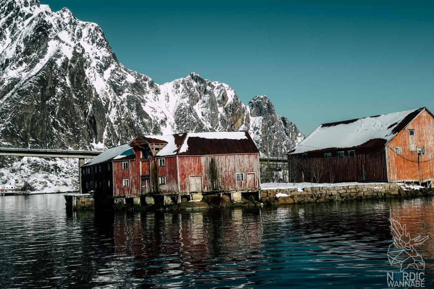 Lofoten, Skrei, Norwegen