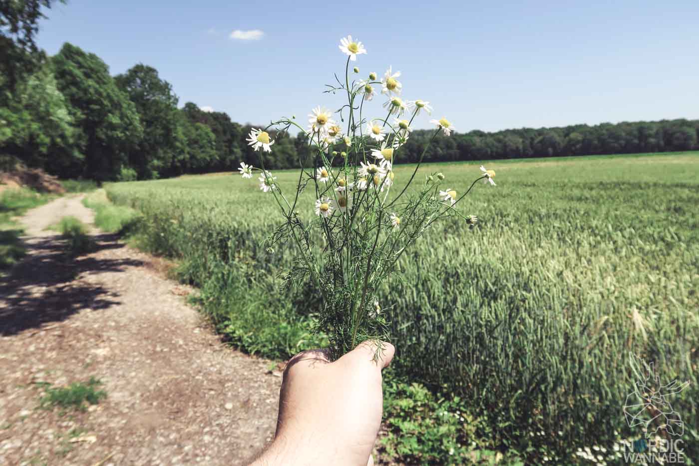 Mittsommer Rituale, Mittsommer Bräuche, Blumenkranz_Foto-7-2