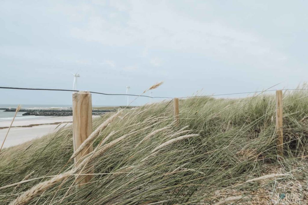 Unterwegs in Dänemark: Von Vejers Strand nach Hvide Sande & Ringkøbing