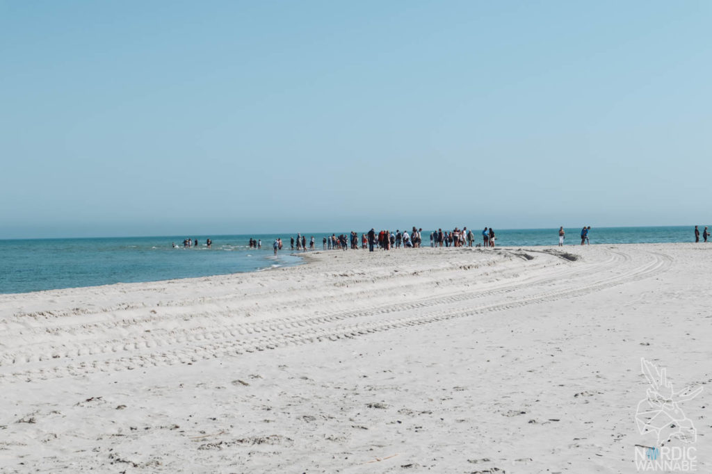 Nordjütland, Rubjerg Knude Fyr, Leuchtturm Dänemark, Skagen, Dänemark