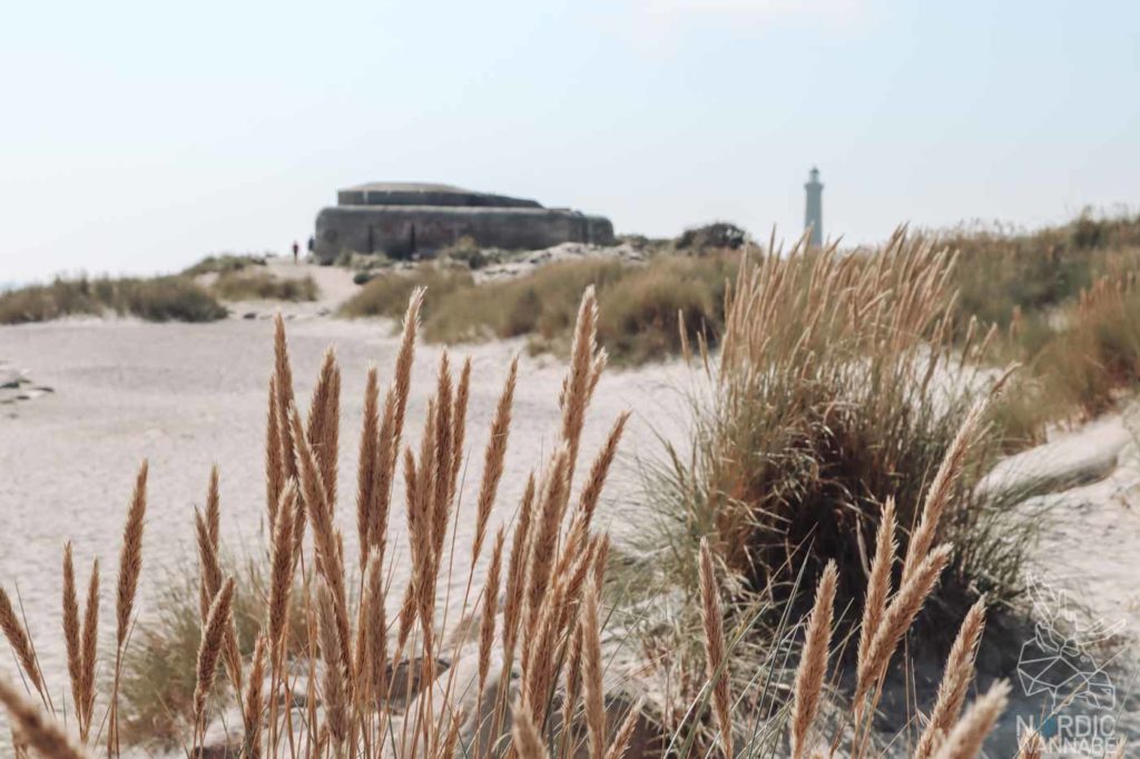 Nordjütland, Rubjerg Knude Fyr, Leuchtturm Dänemark, Skagen, Dänemark