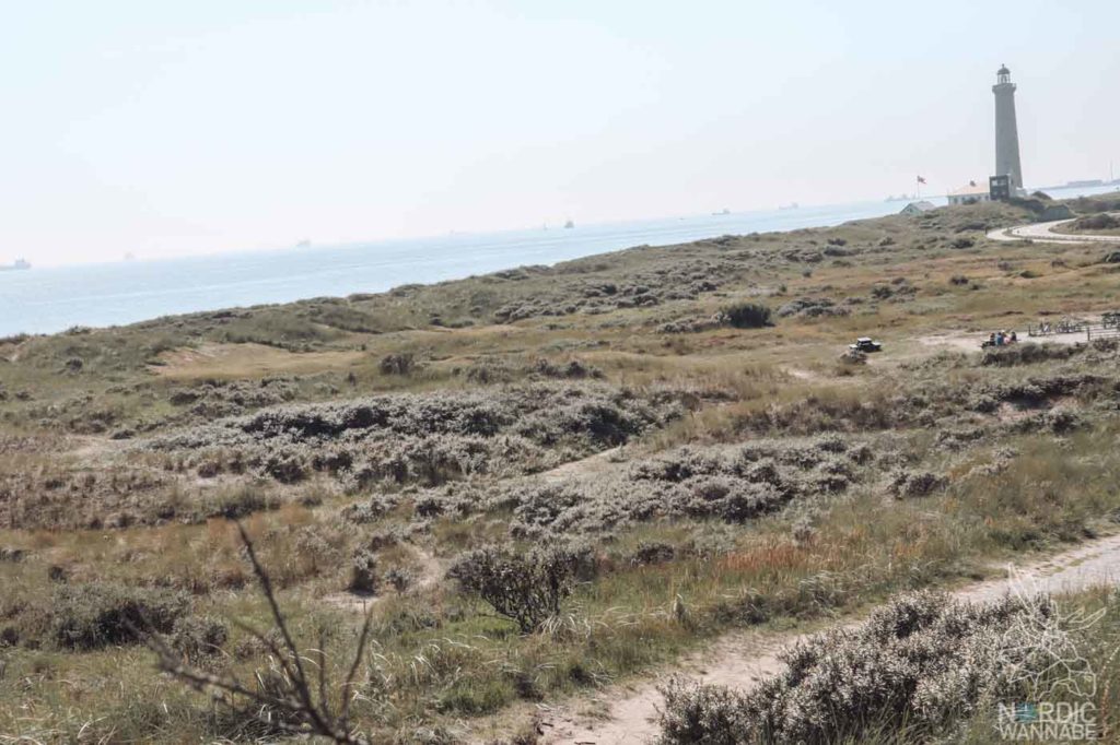 Nordjütland, Rubjerg Knude Fyr, Leuchtturm Dänemark, Skagen, Dänemark