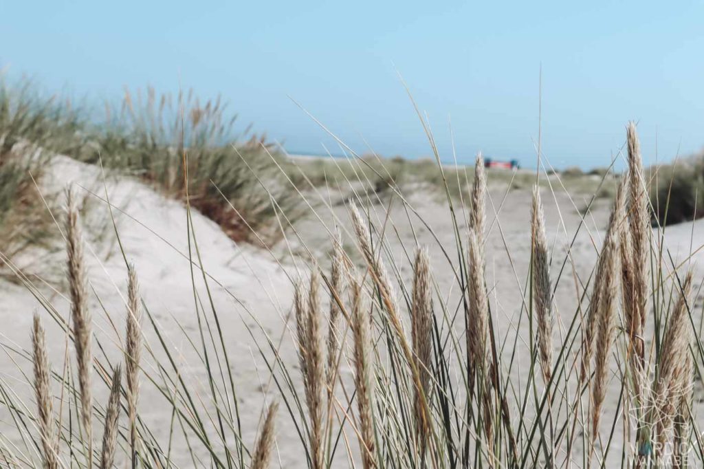 Nordjütland, Rubjerg Knude Fyr, Leuchtturm Dänemark, Skagen, Dänemark